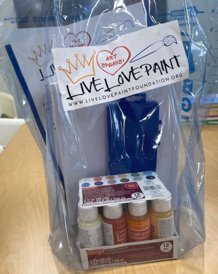 Paint kit from The Live, Love, Paint Foundation