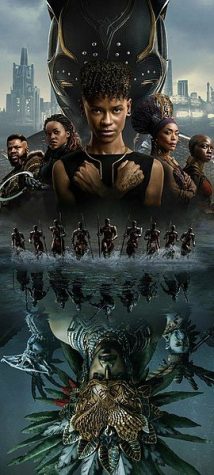 Image from Wikimedia Commons. https://commons.wikimedia.org/wiki/File:Black_Panther_Wakanda_Forever_2022_Official_Poster.jpg