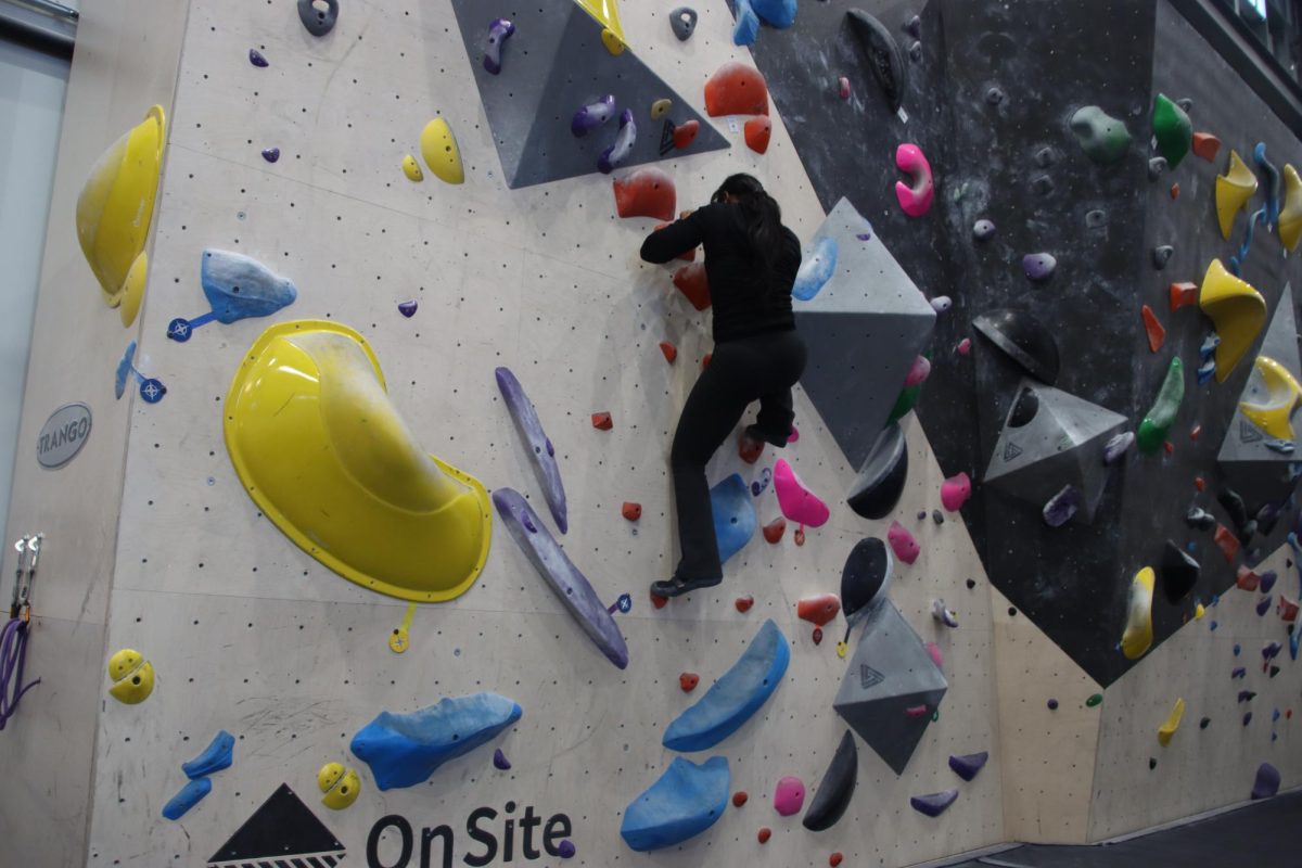Ashani uses small footholds to make her way to the top of the boulder. 