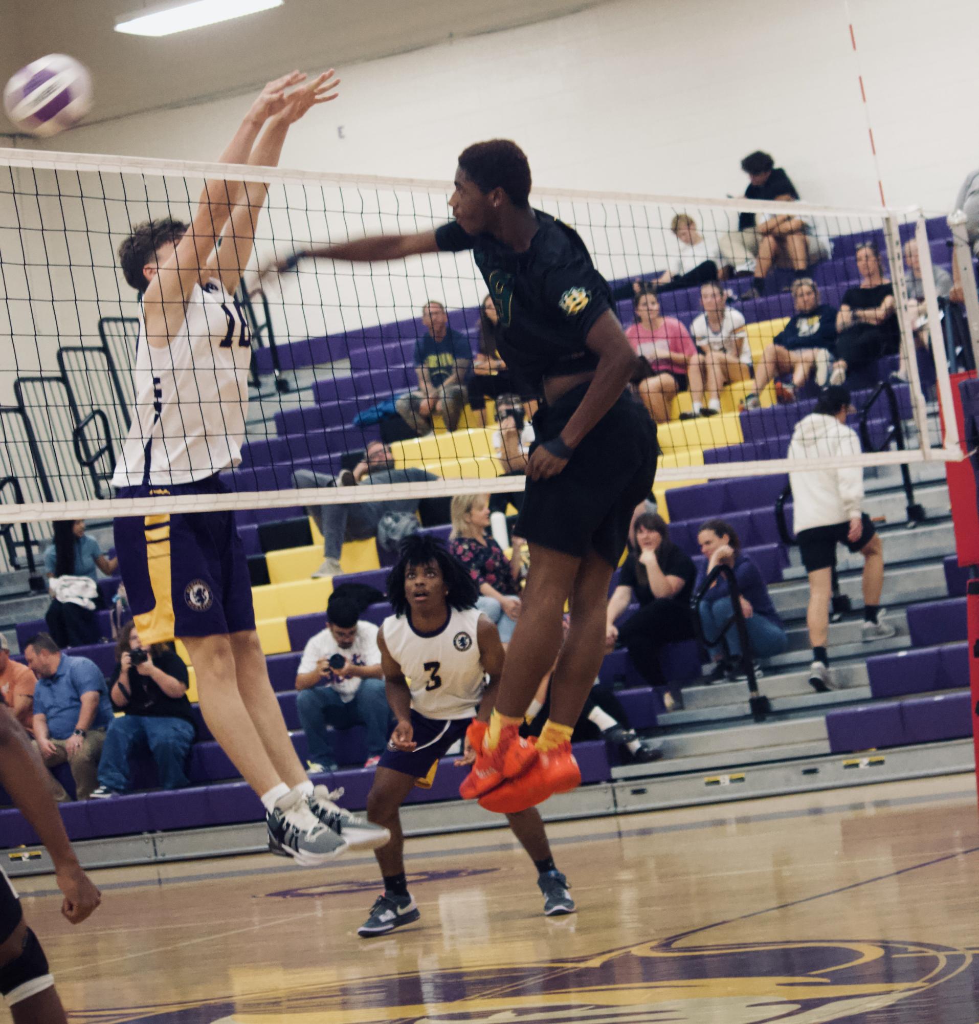 Boys volleyball hits the spotlight