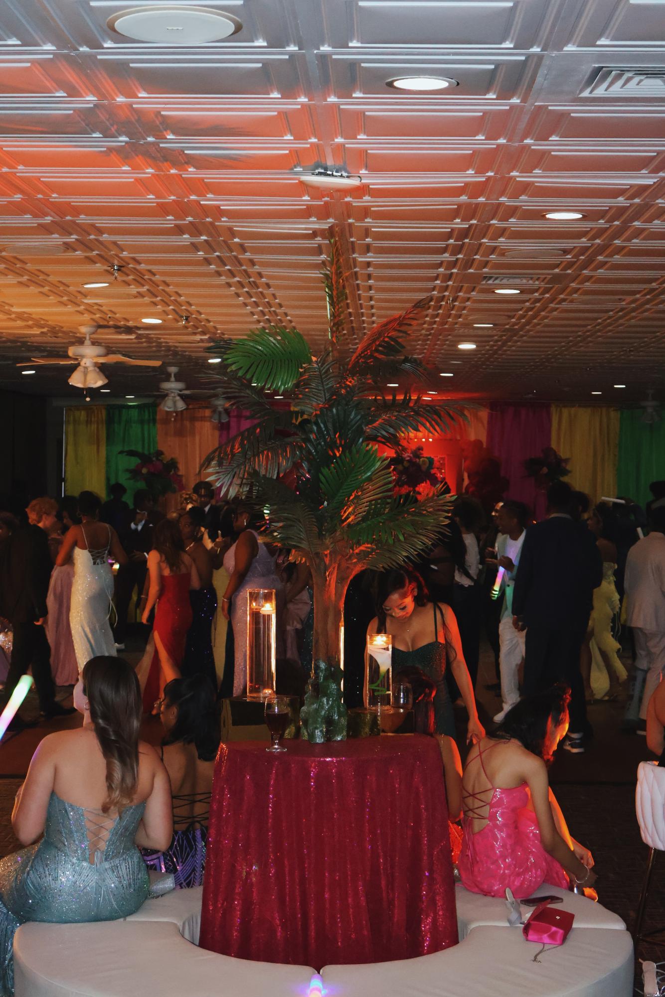 Party in Paradise